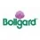Bollgard Seeds
