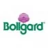 Bollgard Seeds