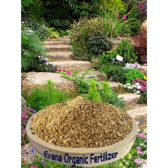 Evana Organic Fertilizer Bone Meal fertilizers for Plants (1 Kg)