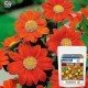 Sansar Green Tithonia Flower Seeds 10gram Sansar Green Tithonia Flower Seeds 10gram
